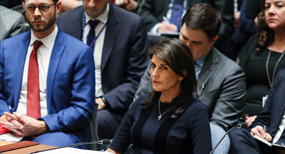 Заседание совета безопасности ООН в Нью-Йорке
