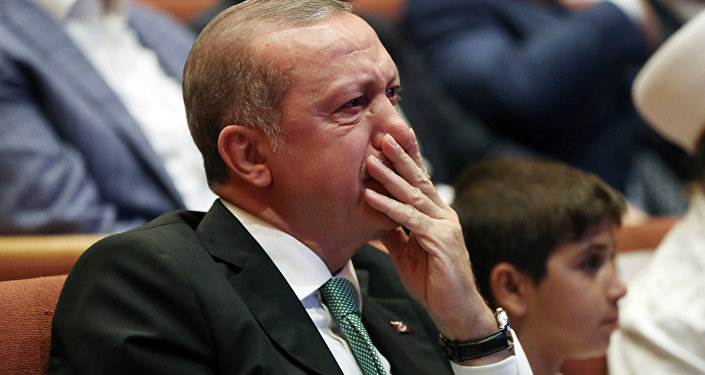 Президент Турции Реджеп Тайип Эрдоган во время встречи со сторонниками. Стамбул, Турция